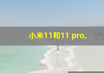 小米11和11 pro,